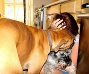 image of boxer