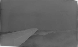 image of wing