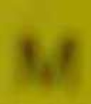 image of char