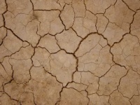 image of texture