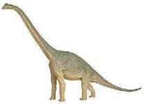 image of brontosaurus