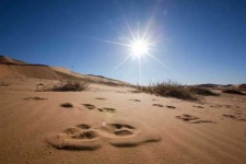image of desert