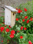 image of birdhouse