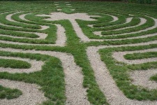 image of maze