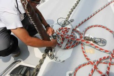 image of knot