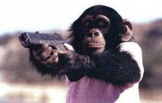 image of animal