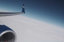 image of wing