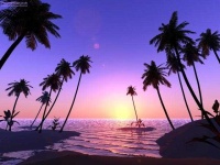 image of palm_tree