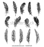 image of feather
