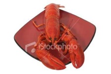 image of american_lobster #27