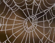 image of texture