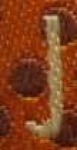 image of char
