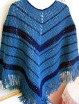 image of poncho
