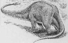 image of brontosaurus