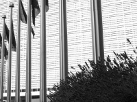 image of flagpole