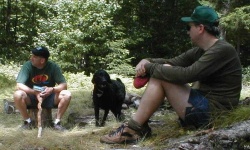 image of curly_coated_retriever