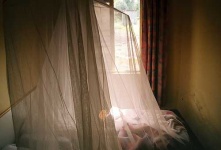 image of mosquito_net