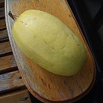image of spaghetti_squash