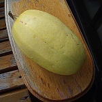 image of spaghetti_squash #17