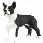image of animal