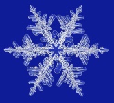 image of snowflake