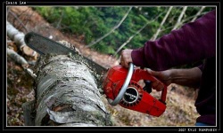 image of chain_saw #5