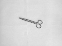 image of straight_scissor #24