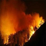 image of wildfire