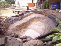 image of pond
