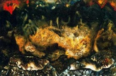 image of undefined