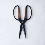 image of scissors