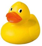 image of animal
