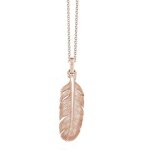 image of feather