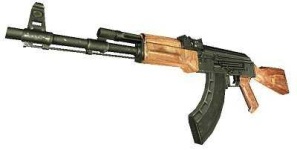 image of gun