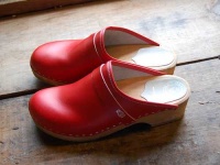 image of clog