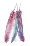 image of feather