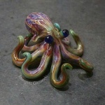 image of octopus