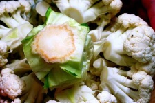 image of cauliflower