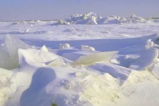 image of tundra