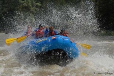 image of paddle