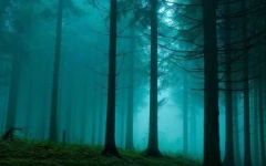 image of foggy