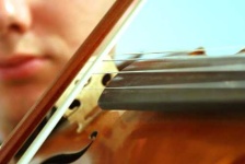 image of violin