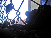 image of chainlink_fence