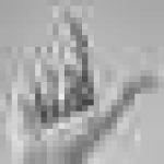 image of hand_sign_l #5