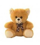 image of teddy_bear