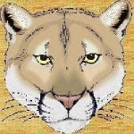 image of cougar_face