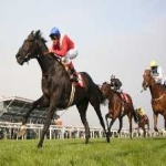 image of sport