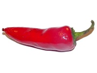 image of chilli #22