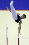 image of parallel_bars