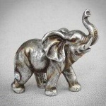 image of animal
